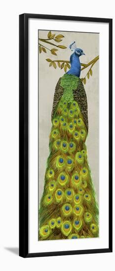 Vintage Peacock I-Melissa Wang-Framed Art Print