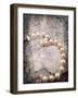 Vintage Pearls-Jai Johnson-Framed Giclee Print