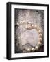 Vintage Pearls-Jai Johnson-Framed Giclee Print