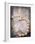 Vintage Pearls-Jai Johnson-Framed Giclee Print