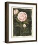 Vintage Peonies I-Grace Popp-Framed Art Print