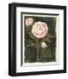 Vintage Peonies I-Grace Popp-Framed Art Print