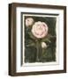 Vintage Peonies I-Grace Popp-Framed Art Print