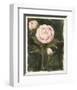 Vintage Peonies I-Grace Popp-Framed Art Print