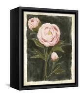 Vintage Peonies I-Grace Popp-Framed Stretched Canvas