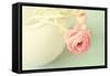 Vintage Peony I-Sarah Gardner-Framed Stretched Canvas