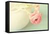 Vintage Peony I-Sarah Gardner-Framed Stretched Canvas