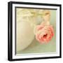 Vintage Peony I-Sarah Gardner-Framed Premium Photographic Print