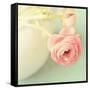 Vintage Peony I-Sarah Gardner-Framed Stretched Canvas