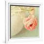 Vintage Peony I-Sarah Gardner-Framed Photographic Print