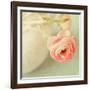 Vintage Peony I-Sarah Gardner-Framed Photographic Print