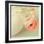 Vintage Peony I-Sarah Gardner-Framed Photographic Print