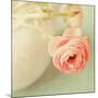 Vintage Peony I-Sarah Gardner-Mounted Photographic Print