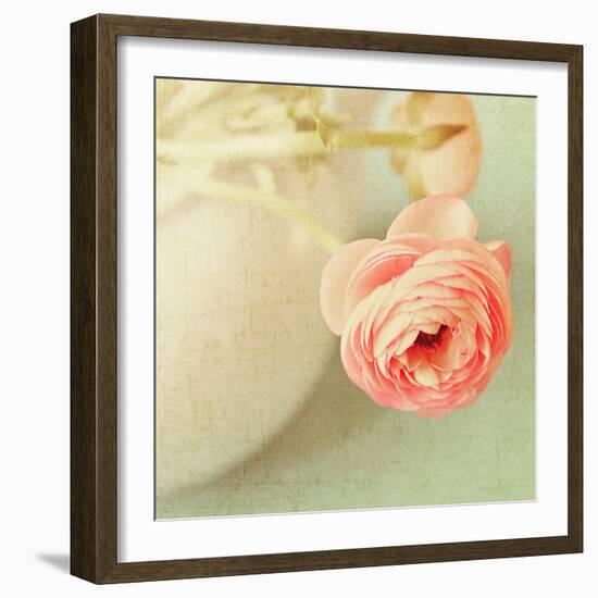 Vintage Peony I-Sarah Gardner-Framed Photographic Print