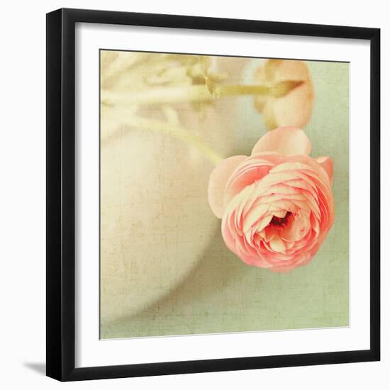 Vintage Peony I-Sarah Gardner-Framed Photographic Print