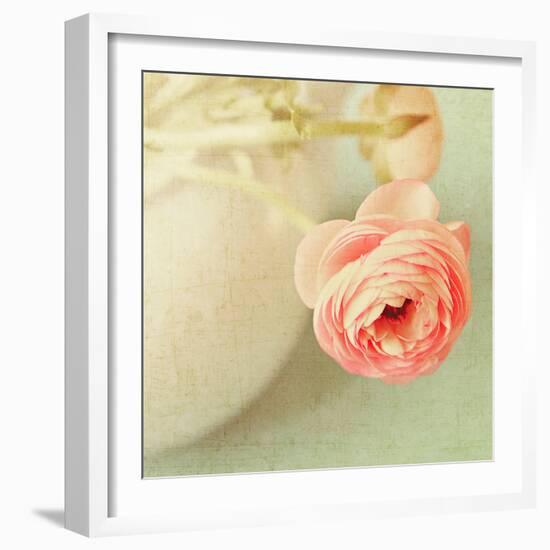 Vintage Peony I-Sarah Gardner-Framed Photographic Print