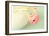 Vintage Peony I-Sarah Gardner-Framed Photographic Print