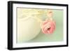 Vintage Peony I-Sarah Gardner-Framed Photographic Print