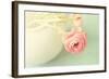 Vintage Peony I-Sarah Gardner-Framed Photographic Print