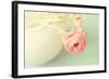 Vintage Peony I-Sarah Gardner-Framed Photographic Print