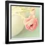 Vintage Peony I-Sarah Gardner-Framed Photographic Print