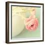 Vintage Peony I-Sarah Gardner-Framed Photographic Print