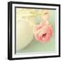 Vintage Peony I-Sarah Gardner-Framed Photographic Print