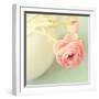 Vintage Peony I-Sarah Gardner-Framed Photographic Print