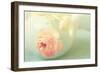 Vintage Peony II-Sarah Gardner-Framed Photographic Print