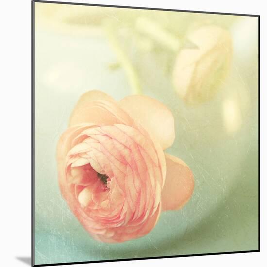 Vintage Peony II-Sarah Gardner-Mounted Photographic Print