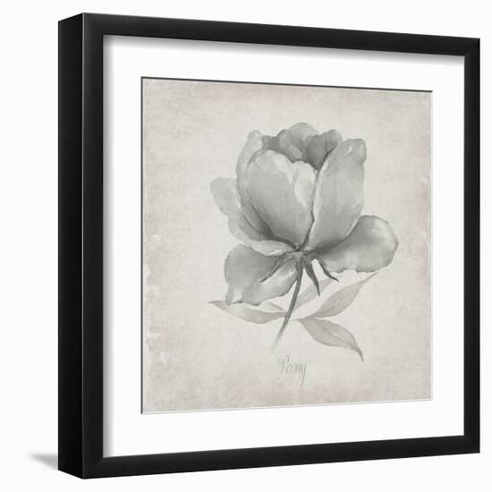 Vintage Peony-Susan Jill-Framed Art Print