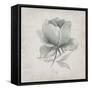 Vintage Peony-Susan Jill-Framed Stretched Canvas