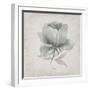 Vintage Peony-Susan Jill-Framed Art Print