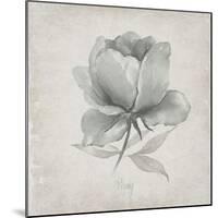 Vintage Peony-Susan Jill-Mounted Art Print