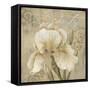 Vintage Petals III-Daphné B.-Framed Stretched Canvas