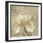 Vintage Petals III-Daphné B.-Framed Giclee Print