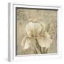 Vintage Petals III-Daphné B.-Framed Giclee Print