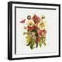 Vintage Petals VII-Katie Pertiet-Framed Photographic Print