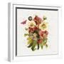 Vintage Petals VII-Katie Pertiet-Framed Photographic Print