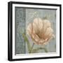 Vintage Petals VIII-Daphné B.-Framed Giclee Print