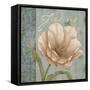 Vintage Petals VIII-Daphné B.-Framed Stretched Canvas