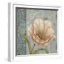 Vintage Petals VIII-Daphné B.-Framed Premium Giclee Print