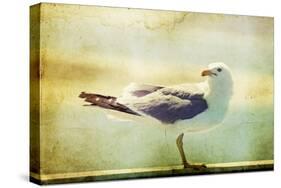 Vintage Photo Of A Seagull-Artistic Retro Styled Picture-melis-Stretched Canvas