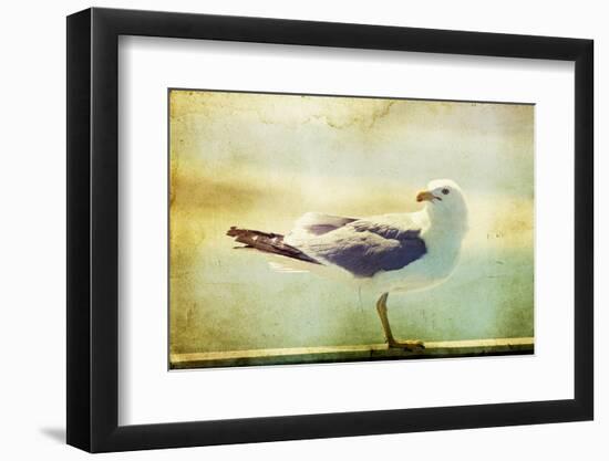 Vintage Photo Of A Seagull-Artistic Retro Styled Picture-melis-Framed Premium Photographic Print