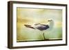 Vintage Photo Of A Seagull-Artistic Retro Styled Picture-melis-Framed Photographic Print