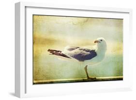 Vintage Photo Of A Seagull-Artistic Retro Styled Picture-melis-Framed Photographic Print