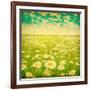 Vintage Photo of Daisy Field and Cloudy Sky-Elenamiv-Framed Art Print