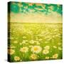 Vintage Photo of Daisy Field and Cloudy Sky-Elenamiv-Stretched Canvas