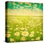 Vintage Photo of Daisy Field and Cloudy Sky-Elenamiv-Stretched Canvas