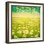 Vintage Photo of Daisy Field and Cloudy Sky-Elenamiv-Framed Art Print